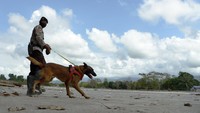 Seorang anggota Kepolisian menyisir kawasan banjir bandang dan mencari korban dengan menggunakan anjing pelacak di Desa Bone Lama, Masamba, Kabupaten Luwu Utara, Sulawesi Selatan.