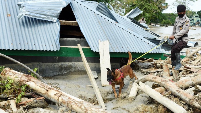 Anggota Kepolisian mencari korban dengan menggunakan anjing pelacak di Desa Bone Lama, Masamba, Kabupaten Luwu Utara, Sulawesi Selatan, Senin (20/7/2020). Tim SAR terus melakukan pencarian 18 korban yang masih hilang akibat banjir bandang di Masamba. ANTARA FOTO/Yusran Uccang/wsj.