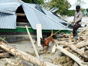 Polisi Selidiki Penyebab Banjir Bandang di Luwu Utara