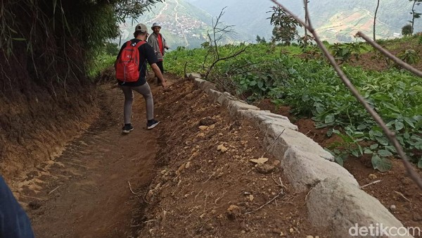 Batu berukuran 15 centimeter ini terlihat berjejer dan susunan batu terlihat miring sekitar 30 derajat. Hingga saat ini, Ondho Budho baru terlihat sebagian. Warga setempat tidak berani menggali lebih. (Uje Hartono/detikcom) Batu berukuran 15 centimeter ini terlihat berjejer dan susunan batu terlihat miring sekitar 30 derajat. Hingga saat ini, Ondho Budho baru terlihat sebagian. Warga setempat tidak berani menggali lebih. (Uje Hartono/detikcom)