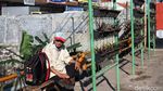 Vertikal Garden di Jalan Cicaheum Bandung Tak Terawat