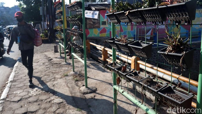 Vertikal Garden di Jalan Cicaheum Bandung Tak Terawat Tanaman vertikal garden yang dipasang di pedestarian Jalan Cicaheum, Kota Bandung, kering dan tidak terawat. Pantauan detikcom, Senin (20/7/2020) tanaman itu dimasukan kedalam pot lalu disimpan di besi yang dipasang rapi secara vertikal di pedestarian tersebut.