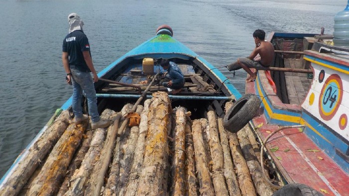 Kayu gelam yang diamankan Balai Gakkum KLHK Sumatera