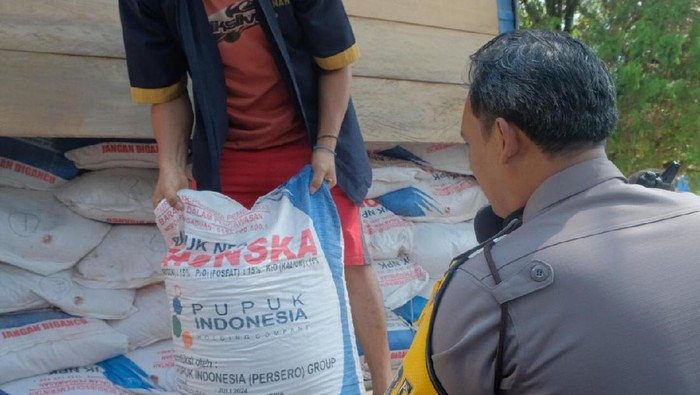 Polres Payakumbuh menangkap pelaku penyimpangan pendistribusian 160 karung atau 8 ton pupuk bersubsidi.