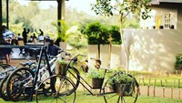 Mengusung konep al fresco restaurant, The River Cafe menawarkan pemandangan hutan yang indah bagi setiap pengunjung. Lengkap dengan suasana tenang. Foto: The River Cafe