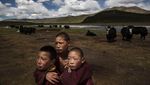 Melihat Kehidupan Tibet yang Sering Disebut Atap Dunia