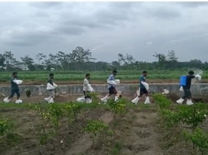 Viral Video Pemakaman Pasien COVID-19 di Blitar Tanpa APD Layak