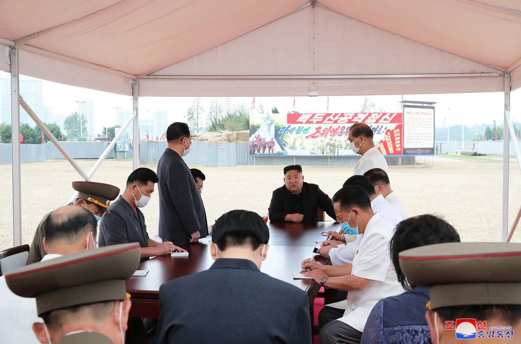 Warga Korea Utara Disarankan Makan Penyu