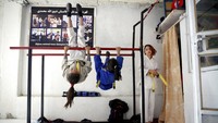 Dan tampaknya Jiu Jitsu menjadi olahraga yang ideal untuk wanita.  