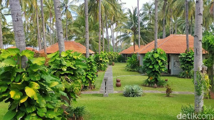 Pariwisata di Banyuwangi kembali menggeliat. Ini terbukti, dengan okupasi hotel yang semakin meningkat. Bahkan ada hotel yang sudah 3 minggu ini full booked