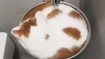 Dalam wadah lingkaran wastafel pun juga muat. (Foto: Brightside)