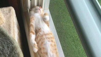 Lentur sekali badannya. (Foto: Brightside)