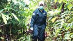 Melihat dari Dekat Pencegahan Corona ke Orangutan di Kalteng