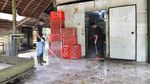 Melihat dari Dekat Pencegahan Corona ke Orangutan di Kalteng