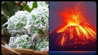 Sensasi seru makan klepon baru terasa saat cairan gula merah pecah di dalam mulut. Rasanya seperti ada gunung meletus di dalam mulut. Foto: instagram
