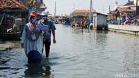 Petugas Pemutakhiran Data Pemilih (PPDP) KPU berjalan kaki menerabas rob yang selalu menggenangi Desa Purworejo, Kecamatan Bonang, Demak, Jawa tengah, Rabu (22/7/2020).