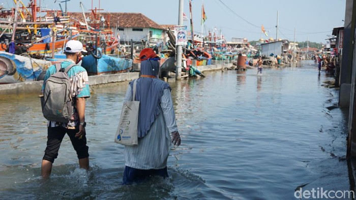 Petugas Coklit terabas rob di Demak