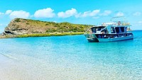 Di tengah pandemi COVID-19, Pulau XXXX pun disebut dapat menjadi tempat pelarian ideal untuk mengisolasi diri (Pumpkin Island/Facebook)