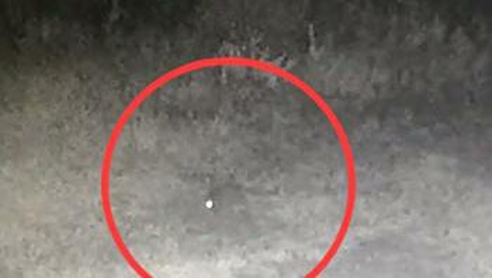 Screenshot CCTV diduga hewan penyerang ternak di Taput (dok. Istimewa)