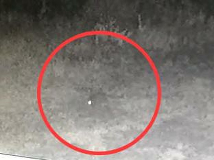 Screenshot CCTV diduga hewan penyerang ternak di Taput (dok. Istimewa)