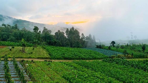 Tempat camping di Magelang.