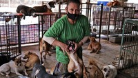 Tempat penampungan anjing terlantar tersebut telah dijalankan Susana sejak 11 tahun silam. Dalam setahun, biasanya ada sekitar 120 anjing yang diselamatkan. Anjing-anjing tersebut seringkali diselamatkan oleh Susana dan rekan-rekannya dari upaya pedagangan daging anjing.