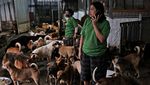 Ini Susana Somali, Si Pelindung Ribuan Anjing Terlantar di Ibu Kota