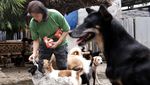 Ini Susana Somali, Si Pelindung Ribuan Anjing Terlantar di Ibu Kota