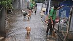 Ini Susana Somali, Si Pelindung Ribuan Anjing Terlantar di Ibu Kota