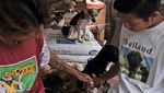 Ini Susana Somali, Si Pelindung Ribuan Anjing Terlantar di Ibu Kota