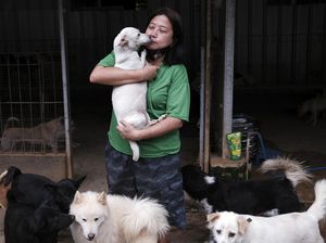 Ini Susana Somali, Si Pelindung Ribuan Anjing Terlantar di Ibu Kota