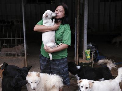 Ini Susana Somali, Si Pelindung Ribuan Anjing Terlantar di Ibu Kota