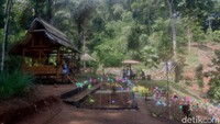 Konsep ini pun datang dari masyarakat yang ikut mewujudkan lahan hutan yang menakutkan jadi lahan hutan indah dan cantik (Muhamad Rizal/detikcom)