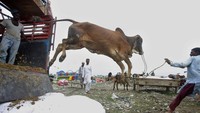 Menjelang perayaan hari raya Idul Adha, tenaga medis di Pakistan cemas angka kasus positif Corona bisa kembali melonjak. AP Photo/K.M. Chaudary  