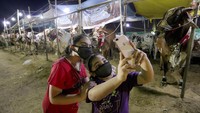 Idul Adha akan dilaksanakan serentak akhir Juli untuk umat islam di seluruh dunia. AP Photo/Fareed Khan  