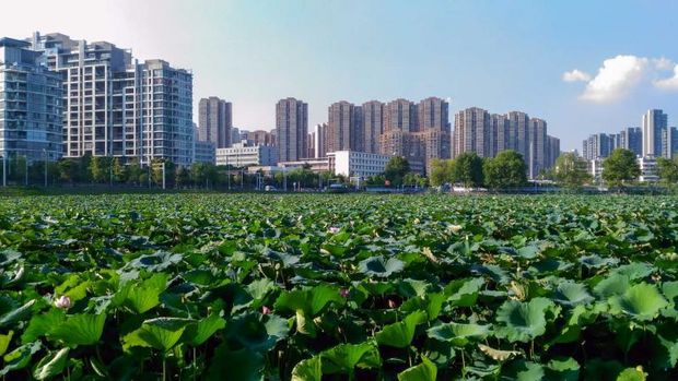 Wuhan di China