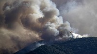Lebih dari 250 petugas damkar berjuang untuk menahan menyebarnya kebakaran hutan tersebut.