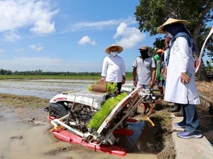Bupati Anas Dorong Petani Manfaatkan Alsintan untuk Optimalkan Hasil Pertanian