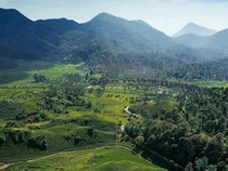7 Gunung di Jawa Barat untuk Pendaki Pemula, Trek Landai-Panorama Cantik