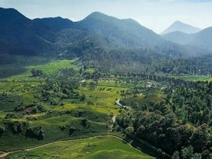 7 Gunung di Jawa Barat untuk Pendaki Pemula, Trek Landai-Panorama Cantik