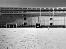 Karya Memukau Juara iPhone Photography Awards 2020