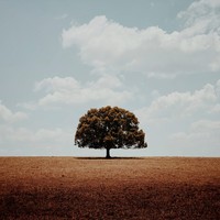 iPhone Photography Awards 2020