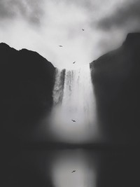 iPhone Photography Awards 2020