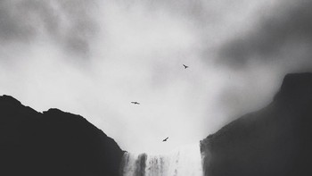 Lisi Li dari China memenangkan kategori Nature dengan foto hitam putih yang diambil menggunakan iPhone 7 Plus. Foto: Lisi Li/iPhone Photography Awards 2020