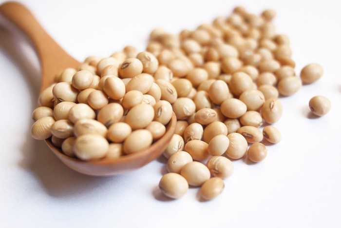 Kacang kedelai