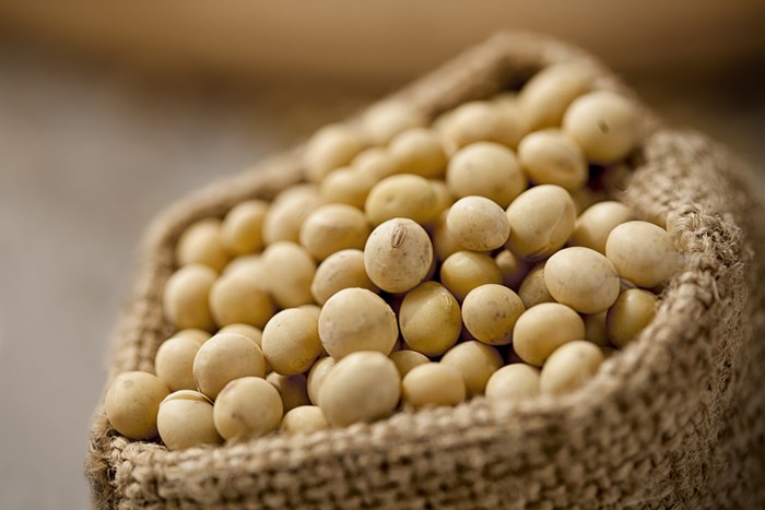 Kacang kedelai