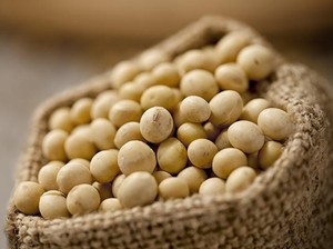 RI Genjot Produksi Kedelai demi Tekan Impor, Bisakah?