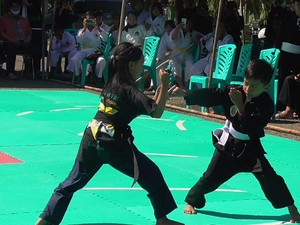 8 Teknik Dasar Pencak Silat, Olahraga Bela Diri Asli Indonesia
