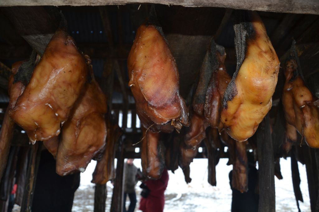 Makanan Fermentasi di Berbagai Negara