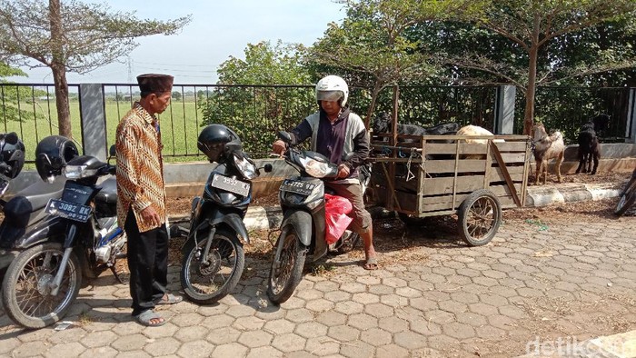 Ojek kambing di Pasar Ternak Gulang, Kudus